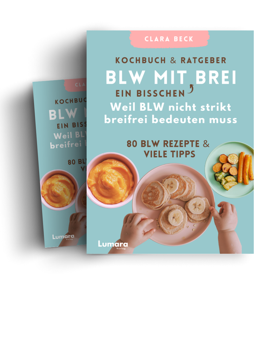 Amazon Bestseller - BLW mit ein bisschen Brei