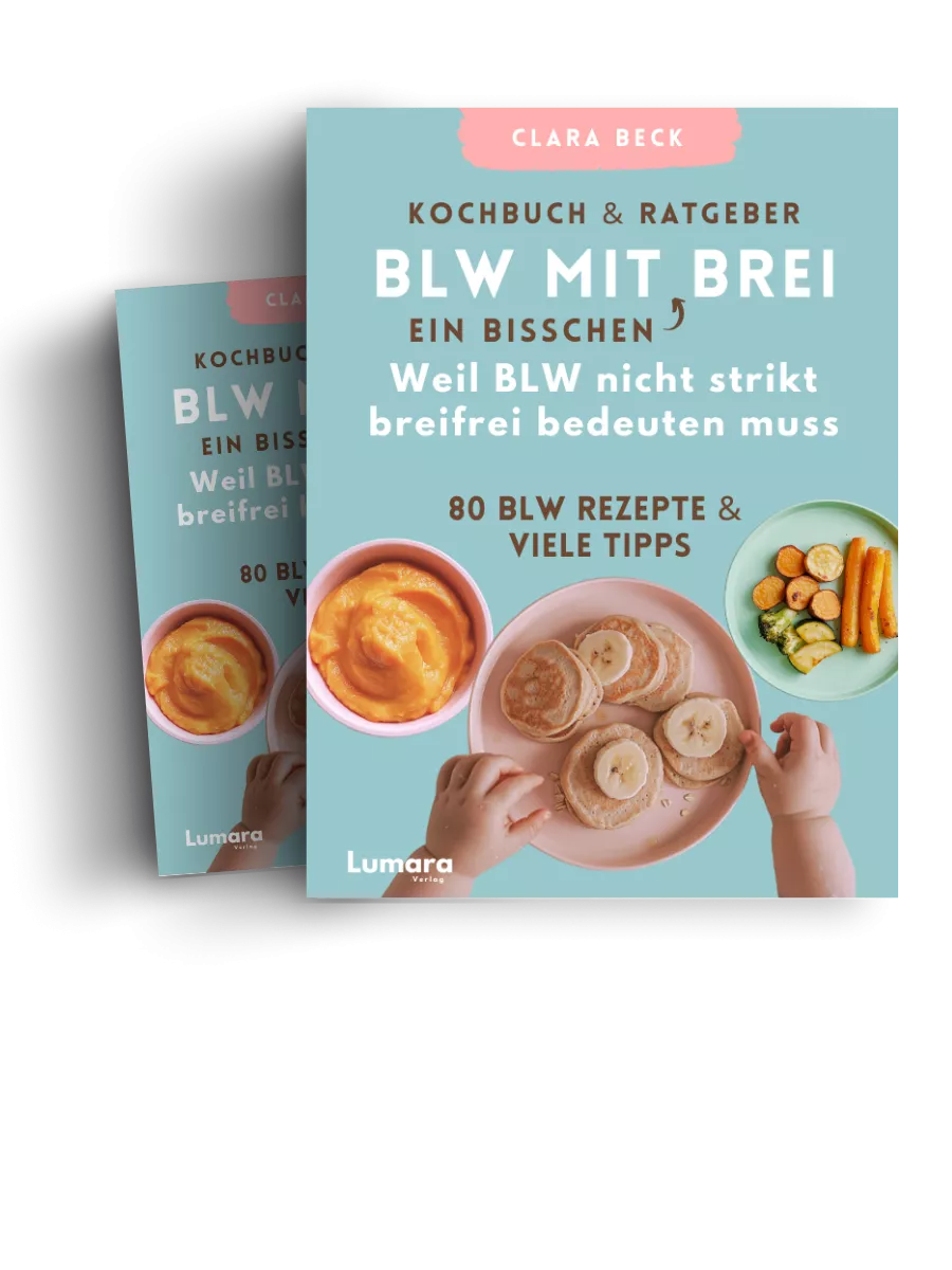 Amazon Bestseller - BLW mit ein bisschen Brei
