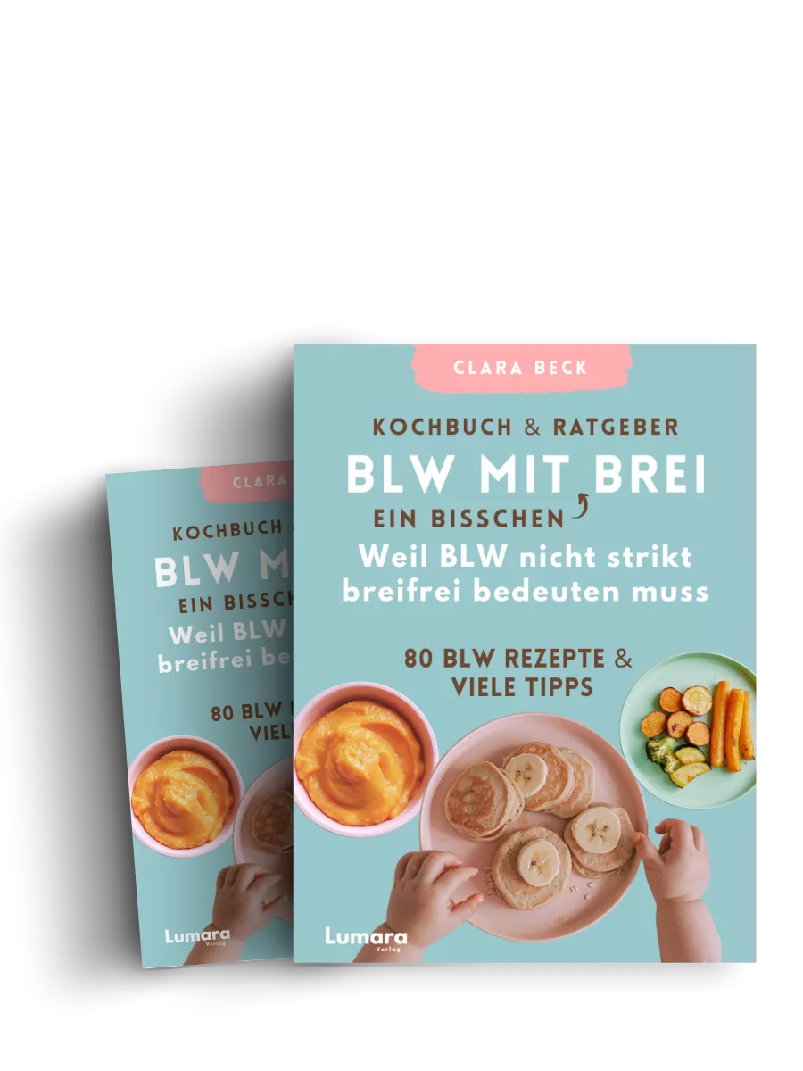 Amazon Bestseller - BLW mit ein bisschen Brei