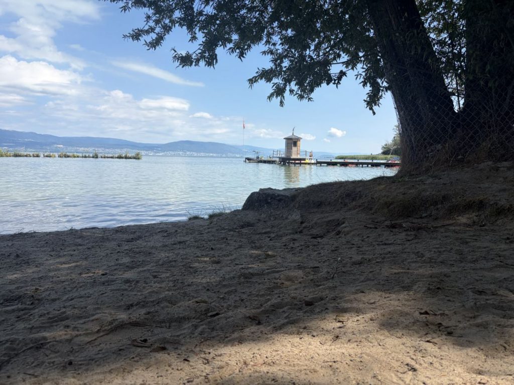 Schattiger Strandabschnitt am Wasser mit Steg im Sommer
